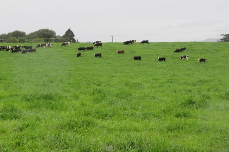 Photo of property in 1050 State Highway 1 South, Manakau, 5573