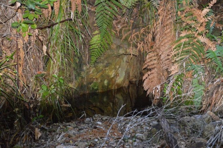 Photo of property in 1455 Buffalo Road, Coromandel, 3506