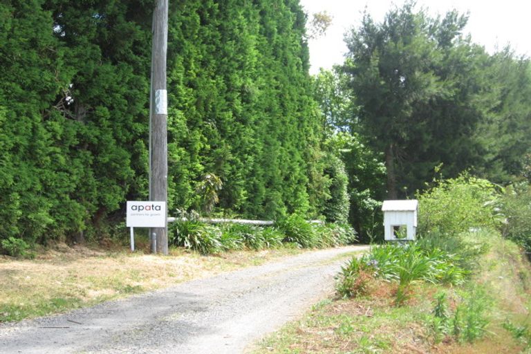 Photo of property in 53 Chelmsford Street, Tahawai, Katikati, 3170