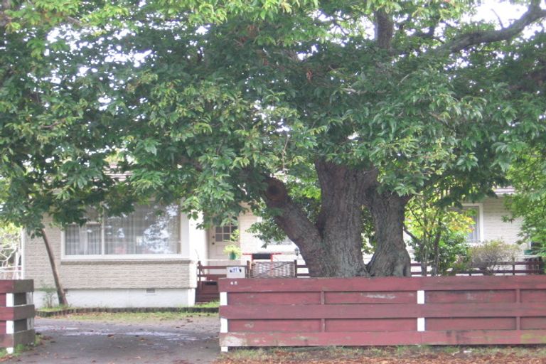 Photo of property in 48 Swanson Road, Henderson, Auckland, 0610