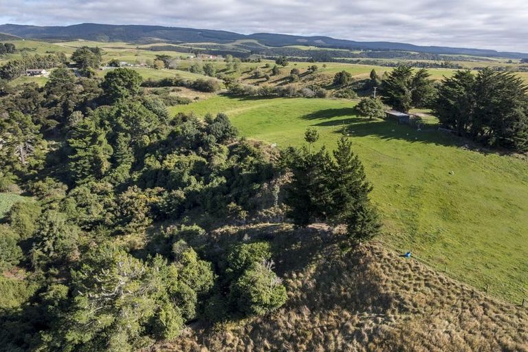 Photo of property in 83 Duncan Road, Hampden, 9410