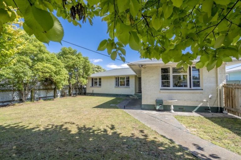 Photo of property in 18 Shamrock Street, Levin, 5510