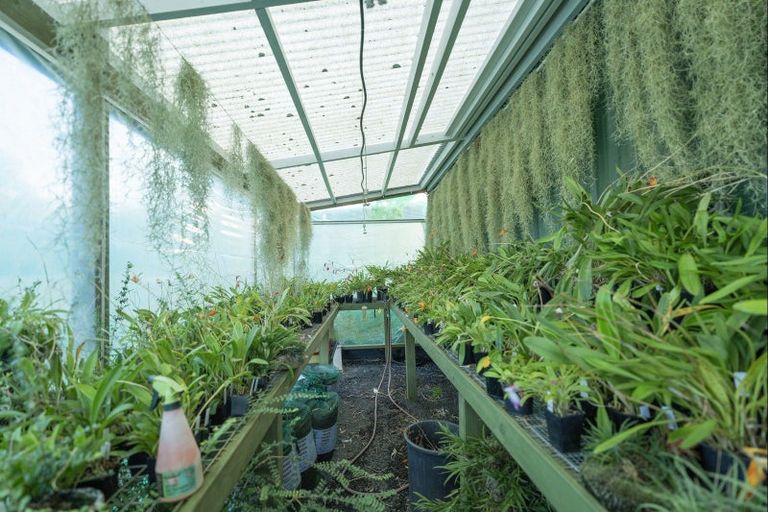 Photo of property in 50b Paul Road, Whenuakite, Whitianga, 3591