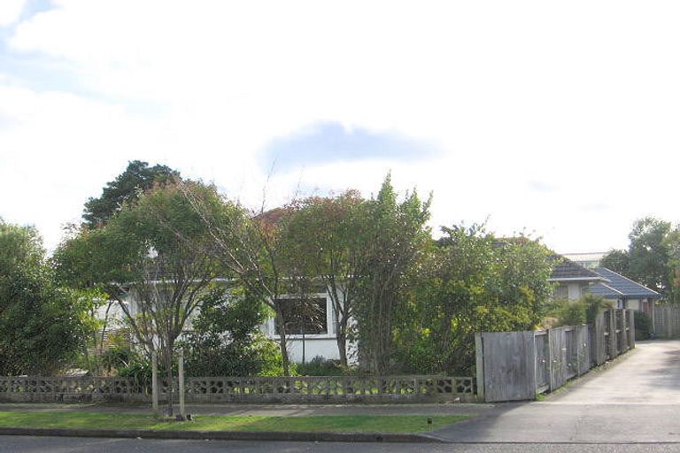 Photo of property in 25 Limbrick Street, Terrace End, Palmerston North, 4410