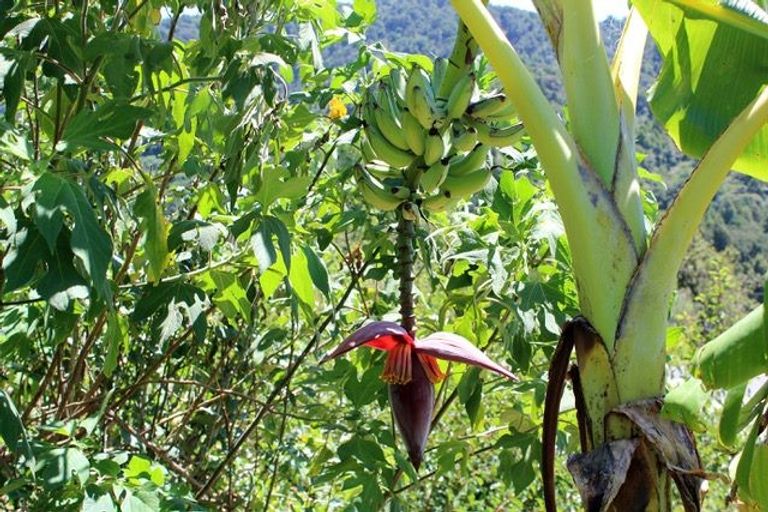 Photo of property in 71 Stunnell Road, Otaika, Whangarei, 0170