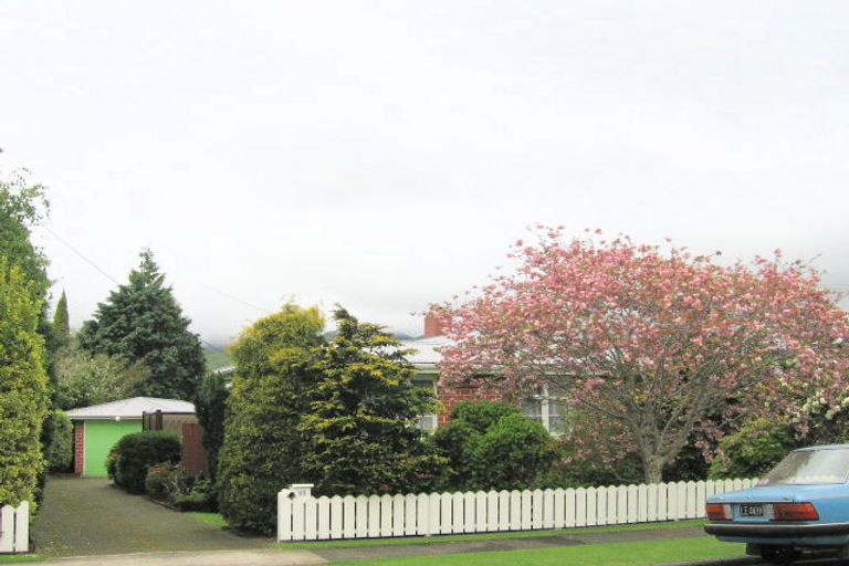 Photo of property in 13 Albert Street, Paeroa, 3600