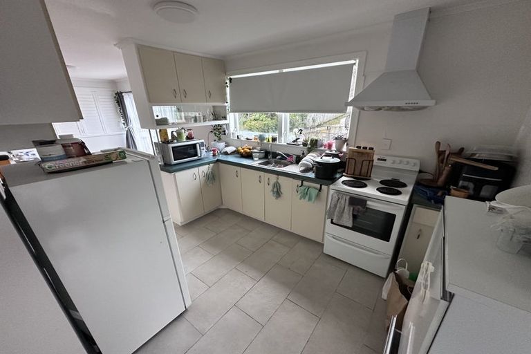 Photo of property in 58 Mcdowell Crescent, Hillcrest, Auckland, 0627