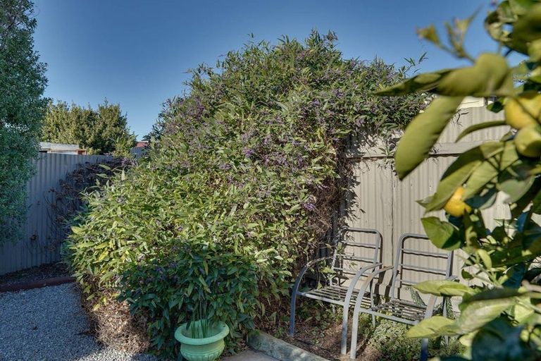 Photo of property in 5 Goulter Street, Seddon, 7210