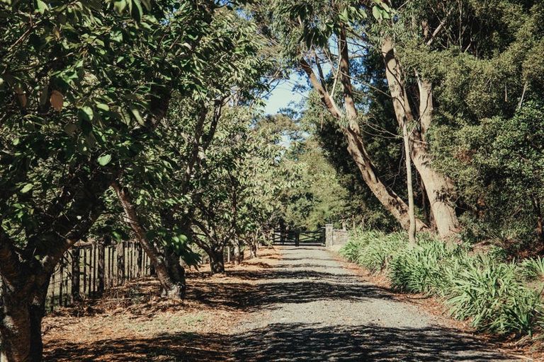 Photo of property in 186 Twilight Road, Clevedon, Papakura, 2582