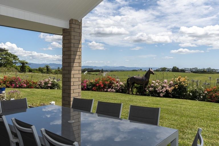 Photo of property in 515 Youngson Road, Whakamarama, Tauranga, 3179