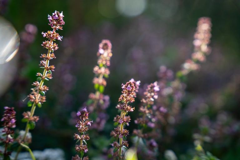 Photo of property in 5-7 Kohekohe Road, Waikanae, 5036