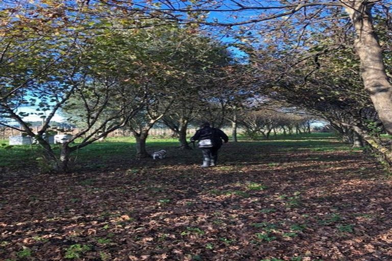 Photo of property in 466 Jeffersons Line, Marton, 4788