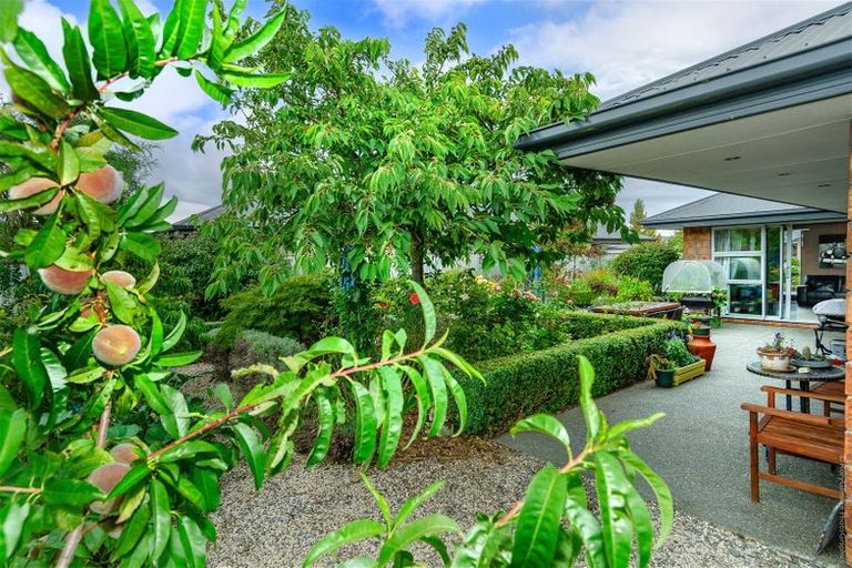 Photo of property in 79 Acacia Avenue, Rangiora, 7400