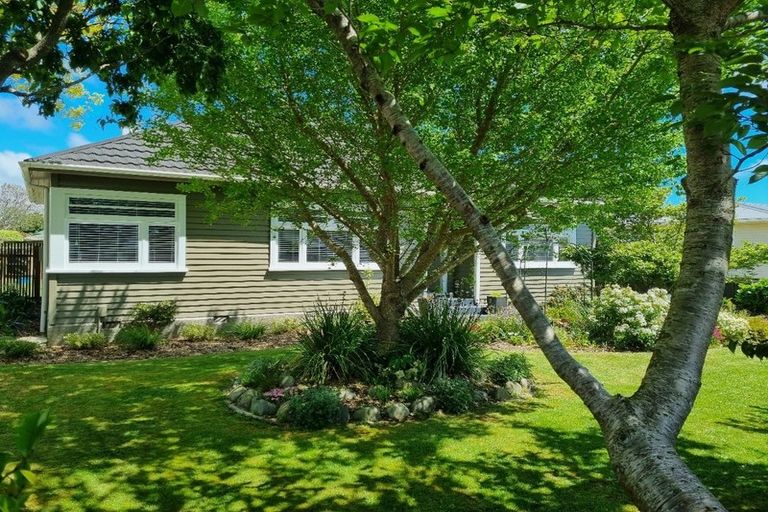 Photo of property in 43 York Street, Levin, 5510