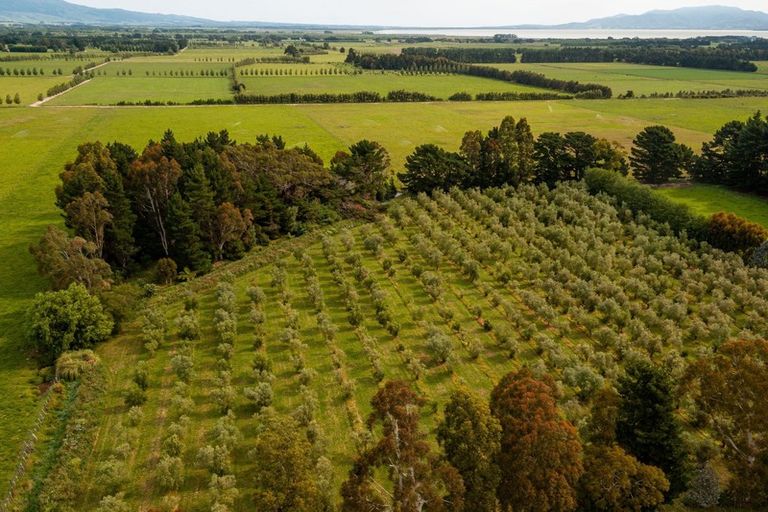 Photo of property in 106 Longwood Road East, South Featherston, Featherston, 5771