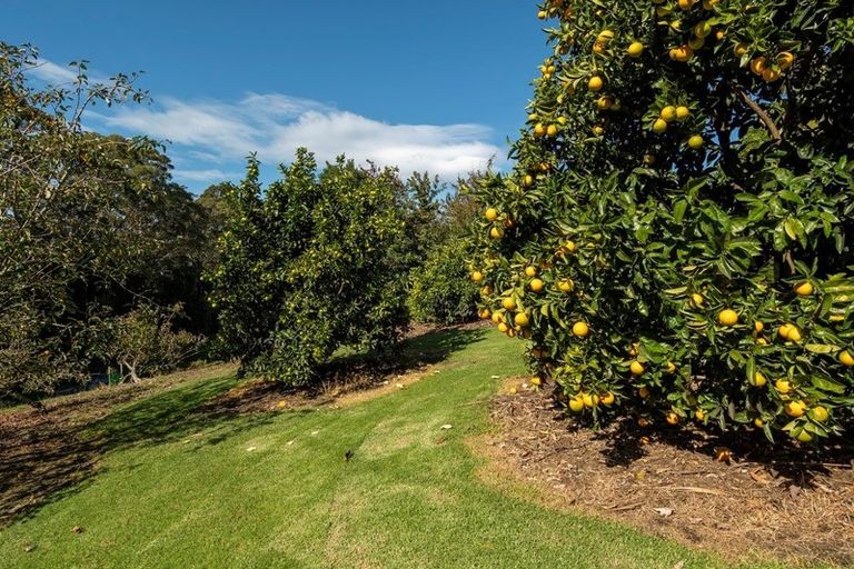 Photo of property in 24a Pahoia Road, Whakamarama, Tauranga, 3172