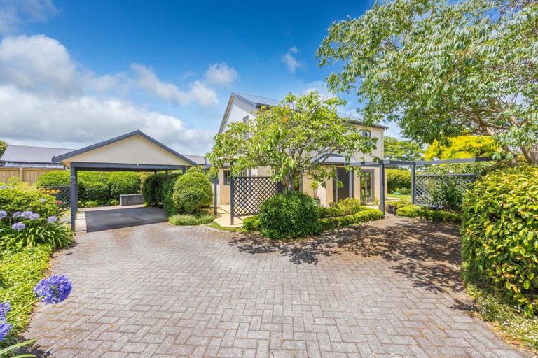 Photo of property in 41a Carey Street, Maeroa, Hamilton, 3200