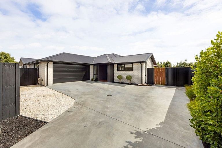 Photo of property in 17 Kereruu Street, Cambridge, 3434