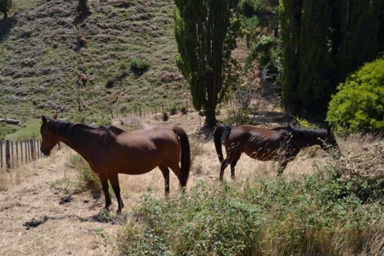 Photo of property in 36 Burtts Road, Durie Hill, Whanganui, 4500