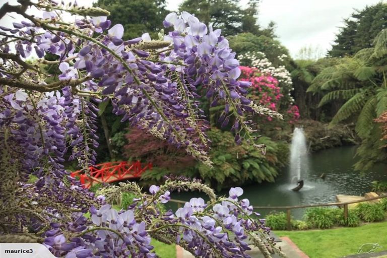 Photo of property in 126 Brecon Road, Stratford, 4332