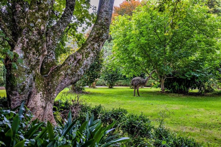 Photo of property in 1140 Ohangai Road, Ohangai, Hawera, 4672