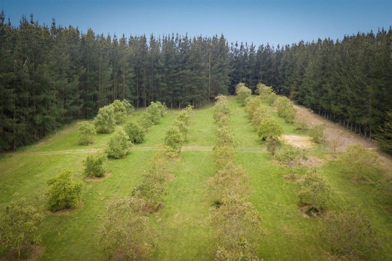 Photo of property in 1837 West Coast Road, Kirwee, Christchurch, 7671