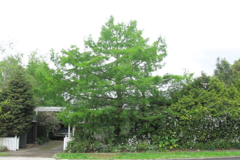 Photo of property in 15 Albert Street, Paeroa, 3600