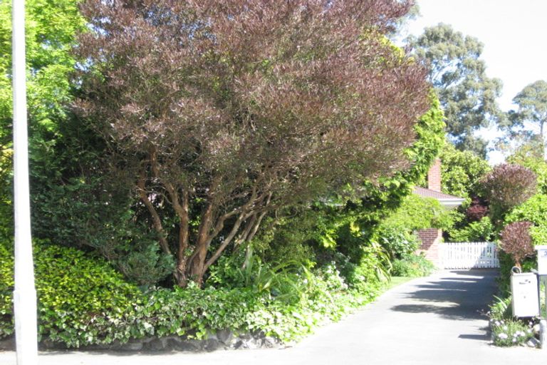 Photo of property in 33 Westburn Terrace, Burnside, Christchurch, 8041