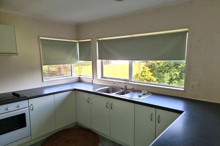 Photo of property in 546 Don Buck Road, Westgate, Auckland, 0614