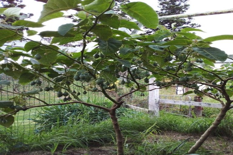 Photo of property in 70 Pukeko Lane, Kerikeri, 0294