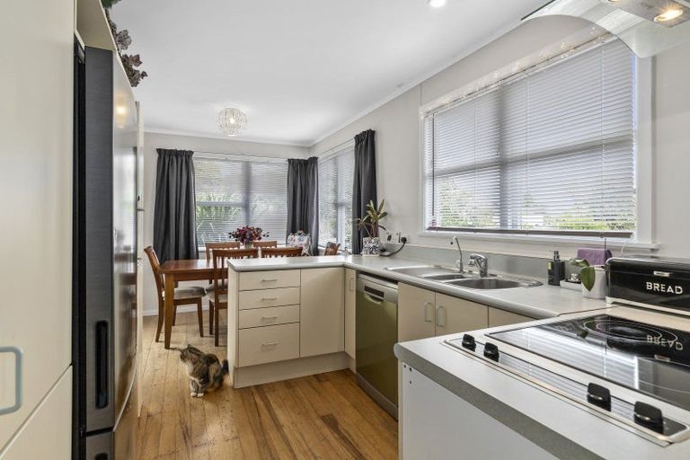 Photo of property in 156 Mahoe Street, Melville, Hamilton, 3206