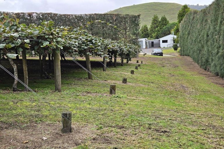 Photo of property in 1395 No 3 Road, Te Puke, 3183