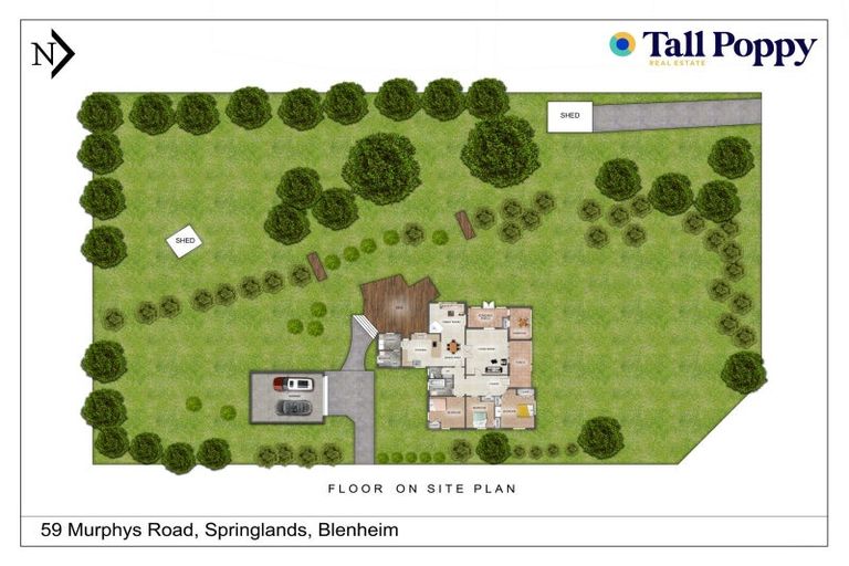 Photo of property in 59 Murphys Road, Springlands, Blenheim, 7201