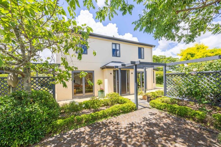 Photo of property in 41a Carey Street, Maeroa, Hamilton, 3200