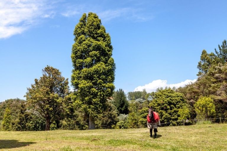 Photo of property in 275 Mcbeth Road, Hikuai, 3579