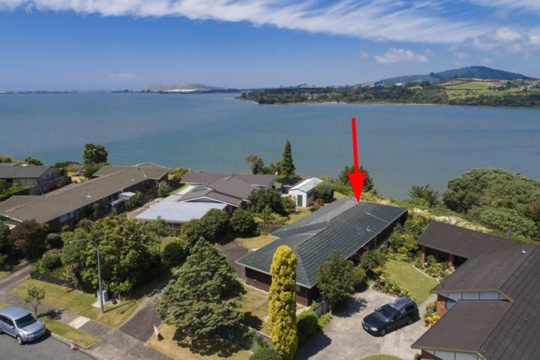 Photo of property in 73 Te Hono Street, Maungatapu, Tauranga, 3112