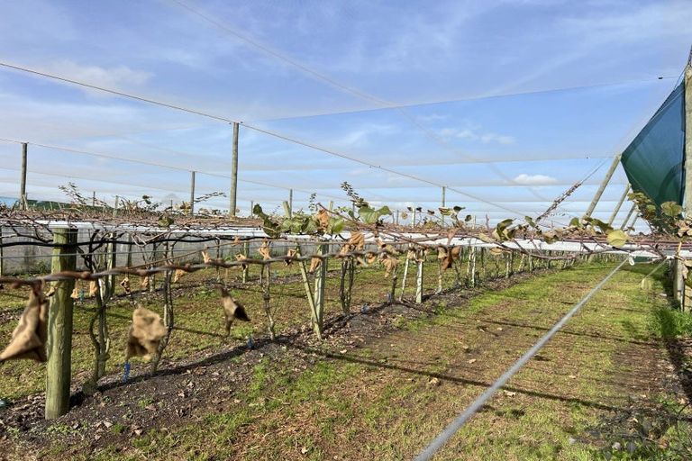 Photo of property in 341 Glenbrook Waiuku Road, Glenbrook, Waiuku, 2681