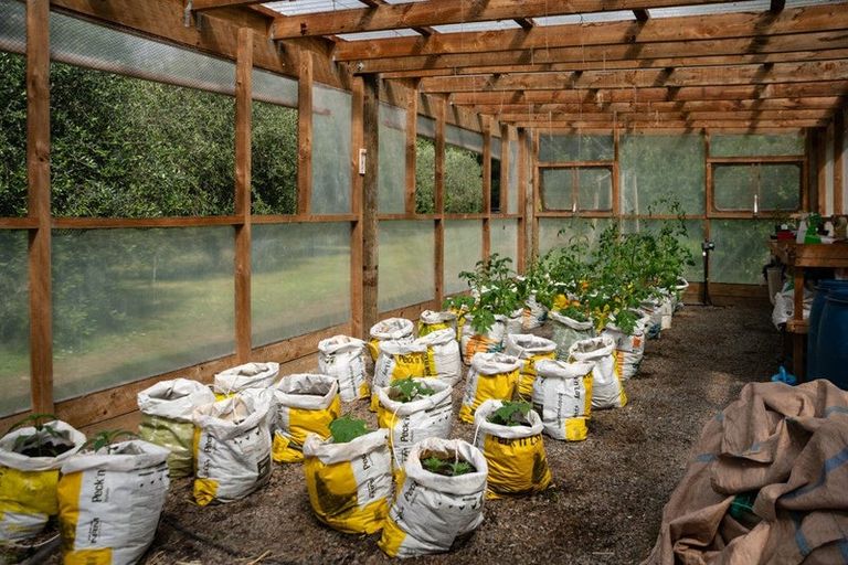 Photo of property in 245 Ngatiawa Road, Reikorangi, Waikanae, 5391