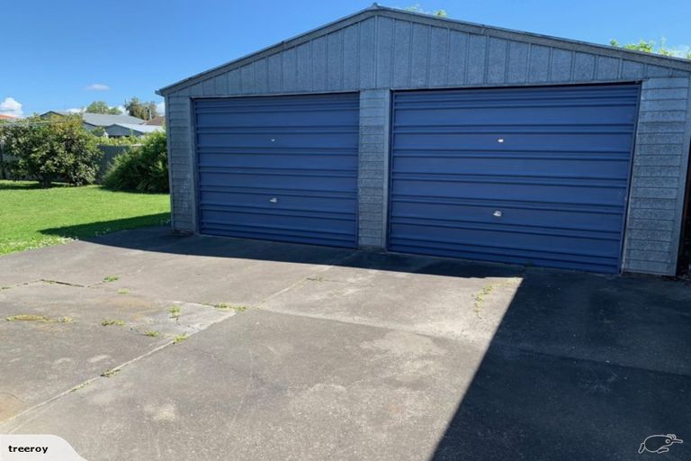 Photo of property in 1002 Totara Street, Mahora, Hastings, 4120