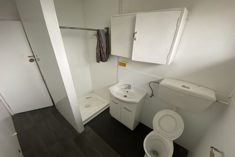 Photo of property in 59 Norton Road, Frankton, Hamilton, 3204