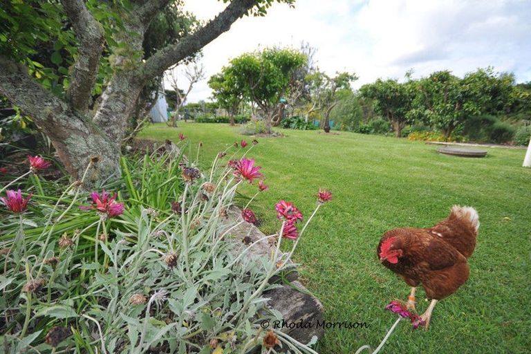 Photo of property in 43 Pahi Road, Paparoa, 0571