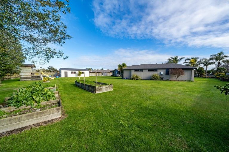 Photo of property in 23 Harris Place, Ngatea, 3503