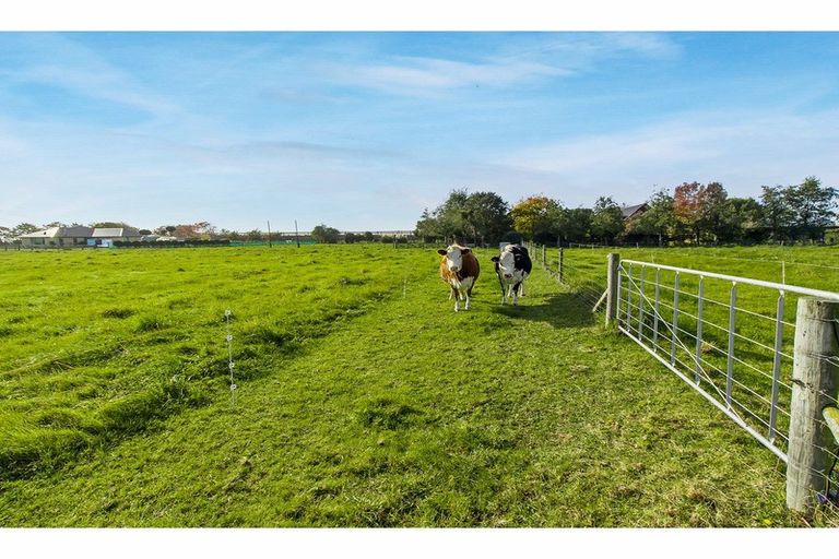 Photo of property in 91 Foley Road, Levels, Timaru, 7975