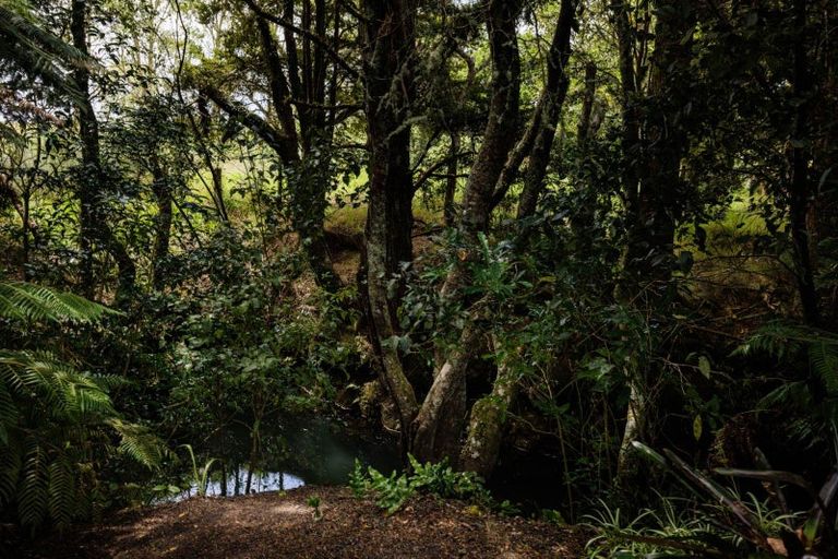 Photo of property in 482 Puketotara Road, Waipapa, Kerikeri, 0295