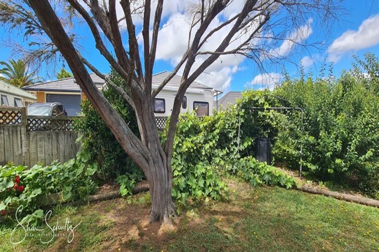 Photo of property in 6 Ash Grove, Maungaturoto, 0520