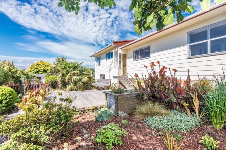Photo of property in 43 Carluke Street, Paparangi, Wellington, 6037