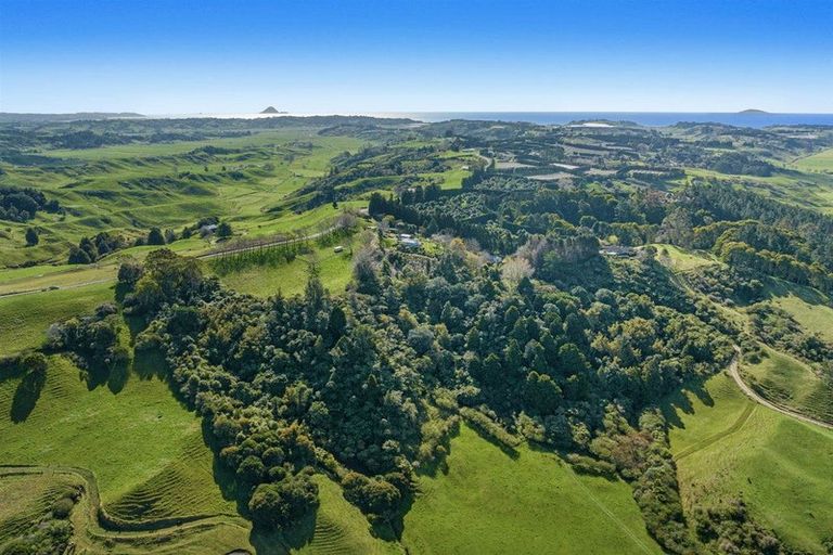 Photo of property in 681 Paerata Ridge Road, Waiotahe, Opotiki, 3198