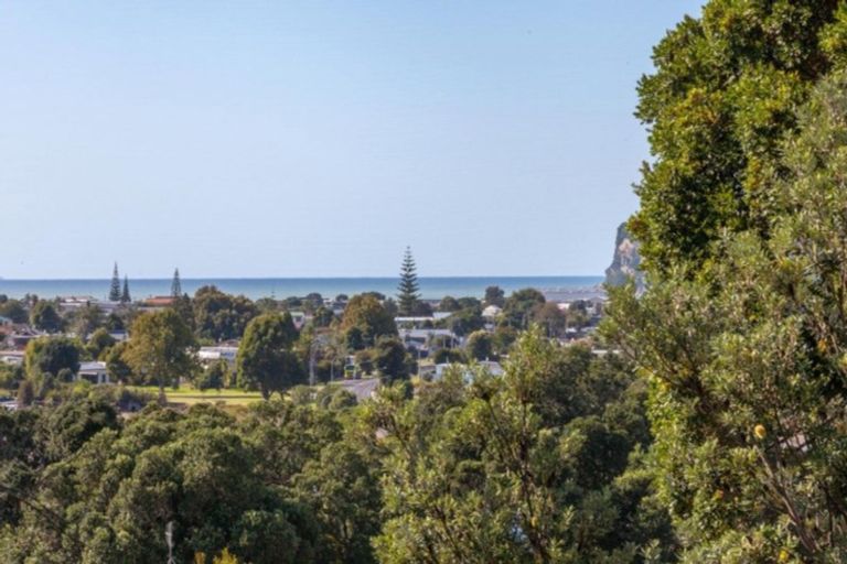 Photo of property in 117 Waireka Place, Whangamata, 3620