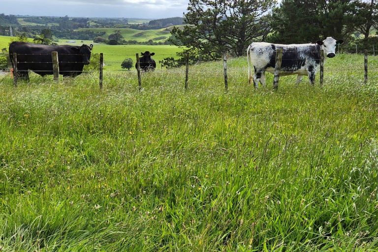 Photo of property in 783 Mangorei Road, Mangorei, New Plymouth, 4371