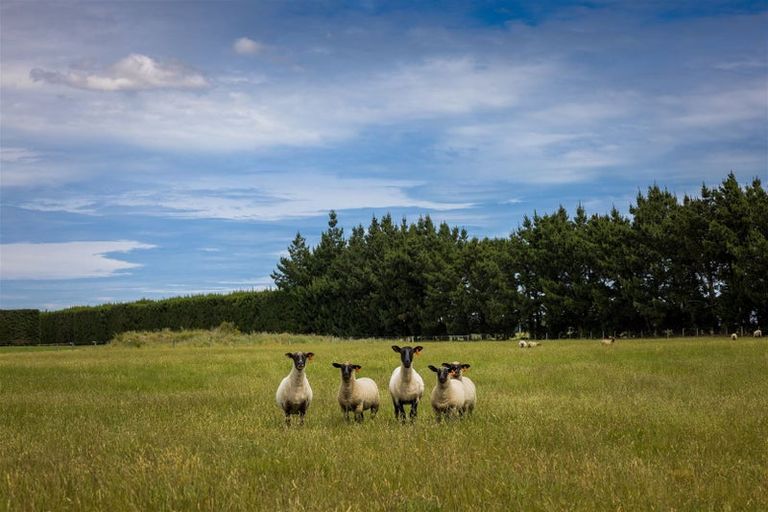 Photo of property in 2/243 Weedons Ross Road, Rolleston, Christchurch, 7675